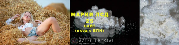 PSILOCYBIN Баксан