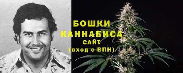 PSILOCYBIN Баксан